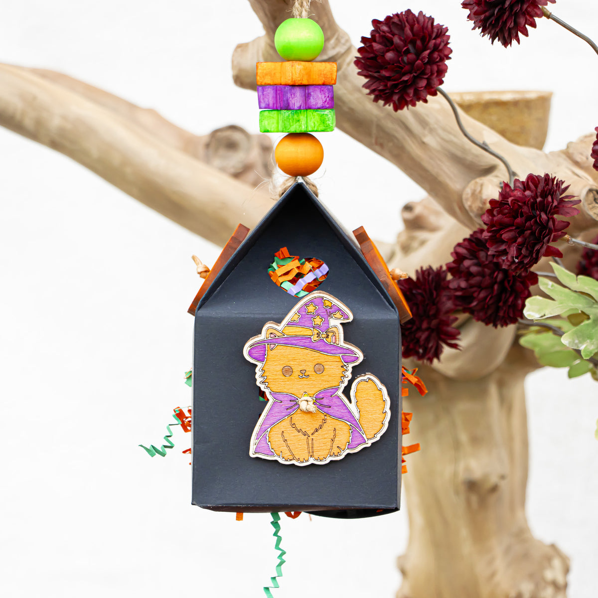 Midnight Whiskers- Halloween Collection