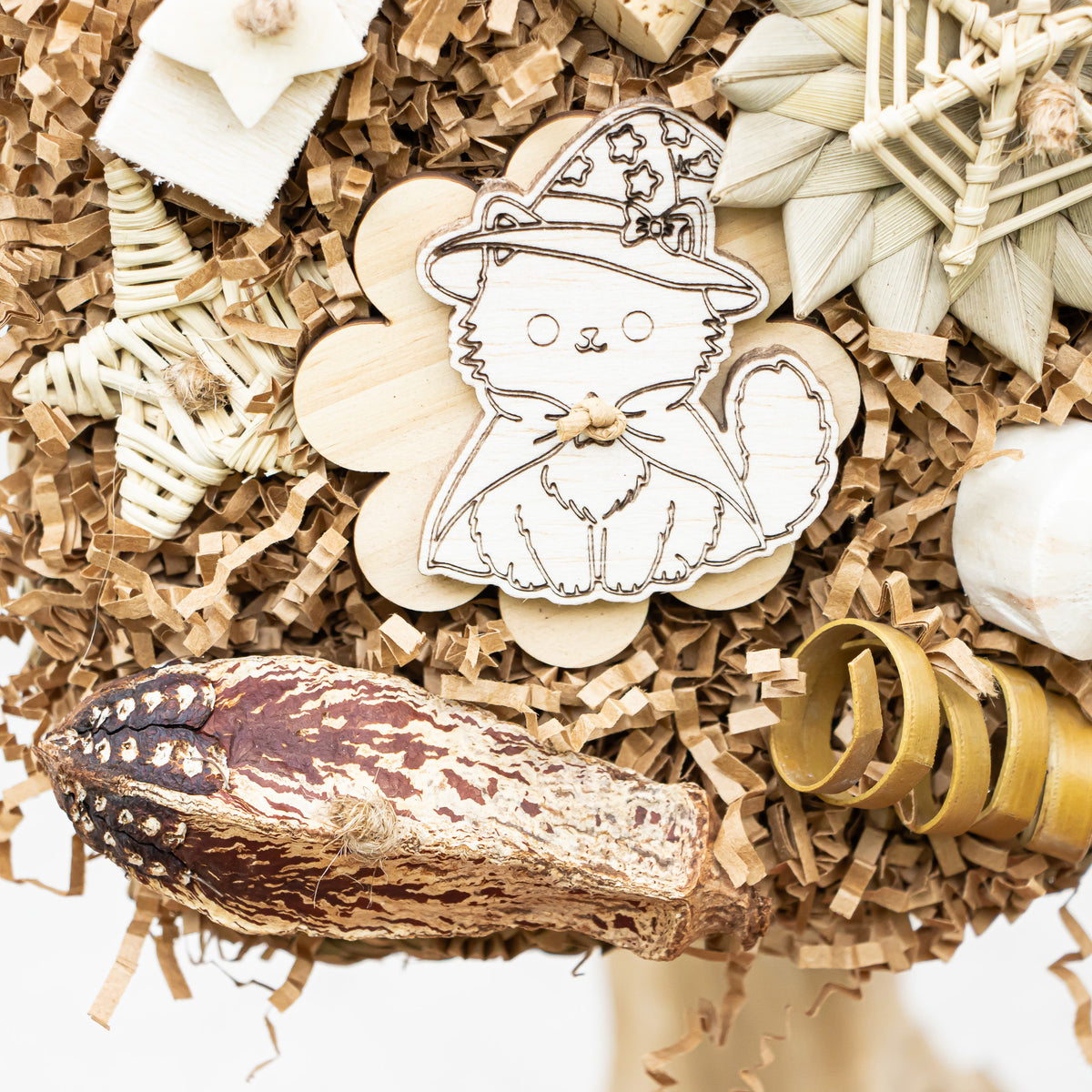 The Haunted Woodland - Halloween Collection