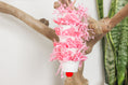 Load image into Gallery viewer, Blindly in Love - Shredding Toy
