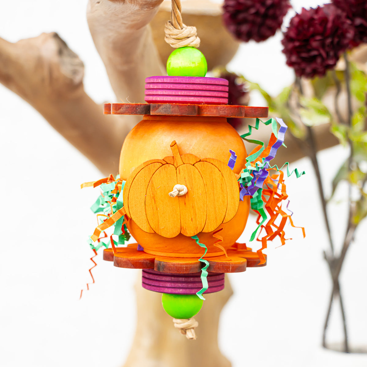 Pretty Little Pumpkins - Halloween Collection