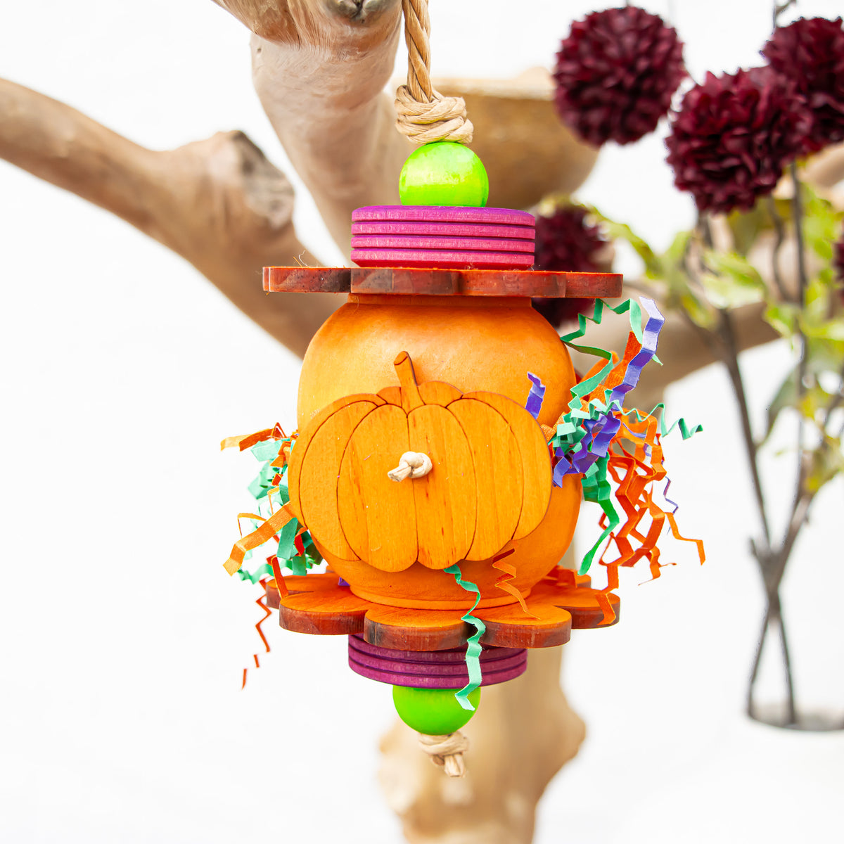 Pretty Little Pumpkins - Halloween Collection