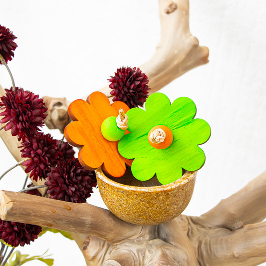 A Splash of Spooky - Halloween Collection