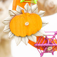 Load image into Gallery viewer, October Moon - Halloween Collection
