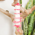 Load image into Gallery viewer, Tender Love - Shredding Toy
