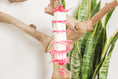 Load image into Gallery viewer, Tender Love - Shredding Toy
