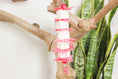 Load image into Gallery viewer, Tender Love - Shredding Toy
