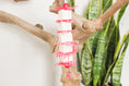 Load image into Gallery viewer, Tender Love - Shredding Toy
