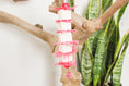 Load image into Gallery viewer, Tender Love - Shredding Toy
