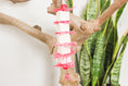 Load image into Gallery viewer, Tender Love - Shredding Toy
