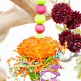 Load image into Gallery viewer, Spooky Little Things - Halloween Collection
