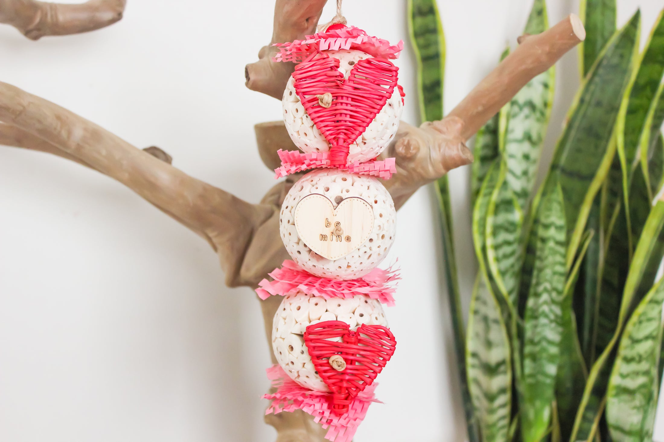 Love in Bloom - Valentine's Collection