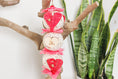 Load image into Gallery viewer, Love in Bloom - Valentine's Collection
