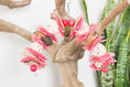 Load image into Gallery viewer, Hearts and Happiness - Shredding Toy
