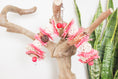 Load image into Gallery viewer, Hearts and Happiness - Shredding Toy
