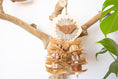 Load image into Gallery viewer, Mahogany Essence - Natural Toy

