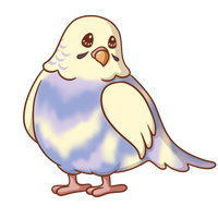 tiny birds