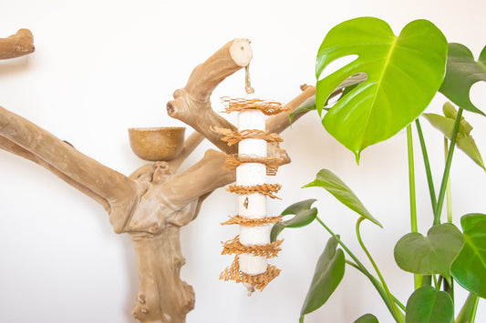 Nature's Nibbler - Natural Toy
