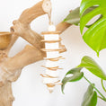 Load image into Gallery viewer, Sola Munch - Natural Toy

