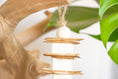 Load image into Gallery viewer, Sola Munch - Natural Toy
