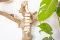Load image into Gallery viewer, Sola Munch - Natural Toy
