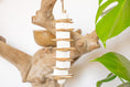 Load image into Gallery viewer, Sola Munch - Natural Toy

