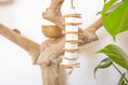 Load image into Gallery viewer, Sola Munch - Natural Toy
