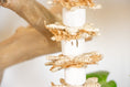 Load image into Gallery viewer, Easy Munch - Natural Toy
