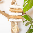 Load image into Gallery viewer, Crunchy Sola - Natural Toy
