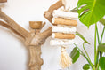 Load image into Gallery viewer, Crunchy Sola - Natural Toy
