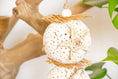Load image into Gallery viewer, Sola in Bloom - Natural Toy
