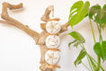 Load image into Gallery viewer, Sola in Bloom - Natural Toy
