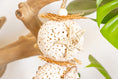 Load image into Gallery viewer, Sola in Bloom - Natural Toy
