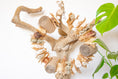 Load image into Gallery viewer, Nature's Wonderland - Natural Toy
