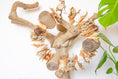Load image into Gallery viewer, Nature's Wonderland - Natural Toy
