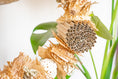 Load image into Gallery viewer, Nature's Wonderland - Natural Toy
