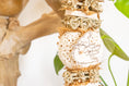 Load image into Gallery viewer, Sola Snack - Natural Toy
