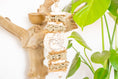 Load image into Gallery viewer, Sola Snack - Natural Toy

