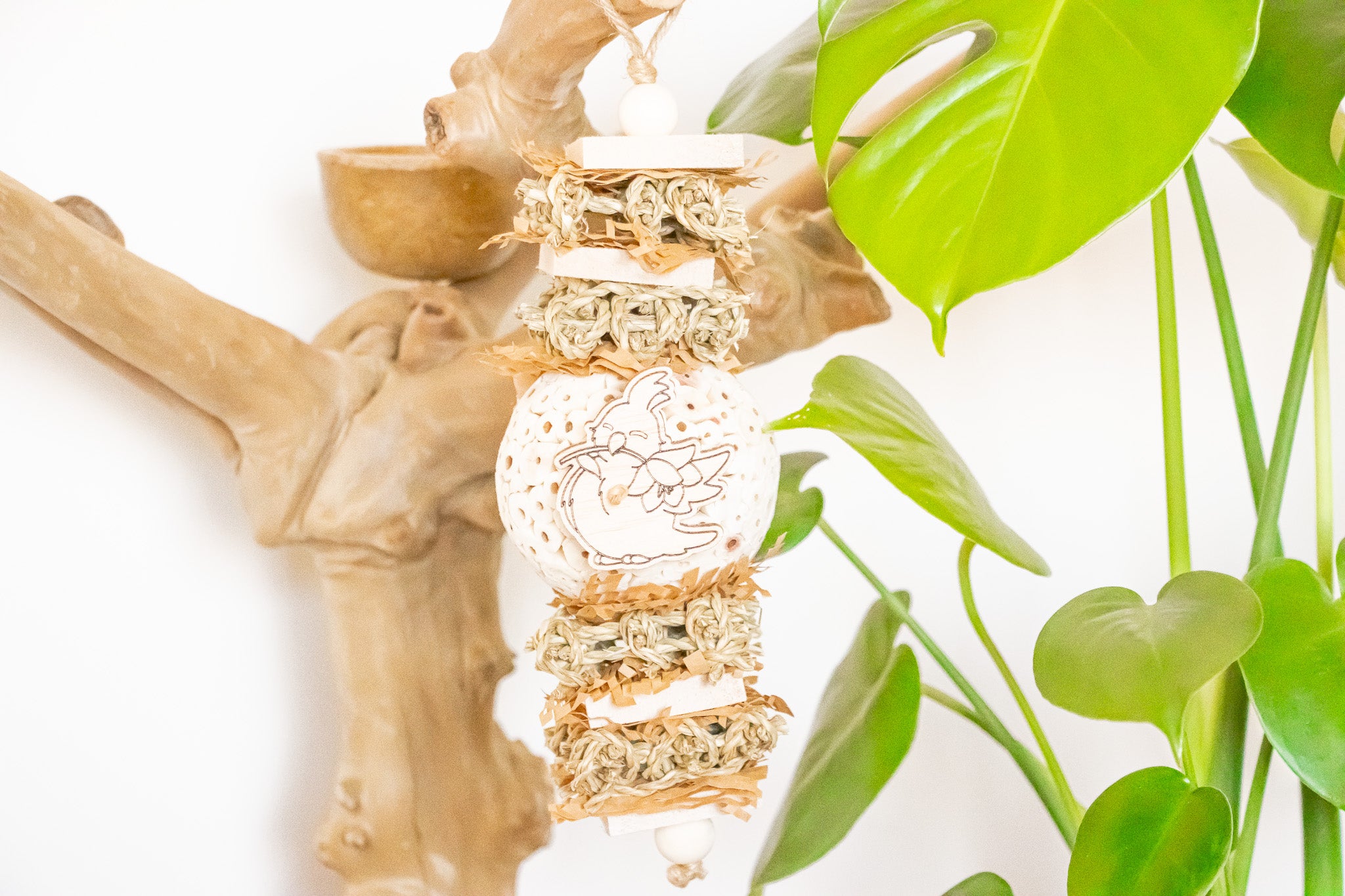 Sola Snack - Natural Toy