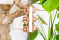 Load image into Gallery viewer, Mahogany Paradise - Natural Toy
