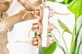 Load image into Gallery viewer, Mahogany Paradise - Natural Toy

