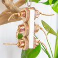 Load image into Gallery viewer, Mahogany Paradise - Natural Toy
