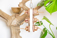 Load image into Gallery viewer, Mahogany Paradise - Natural Toy
