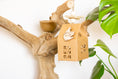 Load image into Gallery viewer, Birdy Brilliance - Natural Toy
