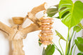 Load image into Gallery viewer, Un Natural - Natural Toy
