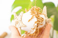 Load image into Gallery viewer, Foraging Fun - Foot Toy
