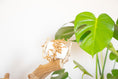 Load image into Gallery viewer, Foraging Fun - Foot Toy
