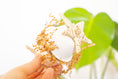 Load image into Gallery viewer, Foraging Fun - Foot Toy
