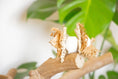 Load image into Gallery viewer, Forest Breeze - Foot Toy
