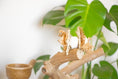 Load image into Gallery viewer, Forest Breeze - Foot Toy
