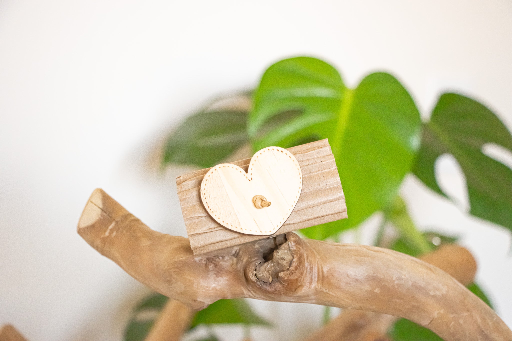Earth's Love - Foot Toy